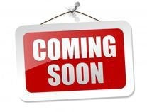 2021 Nissan Rogue SV FWD